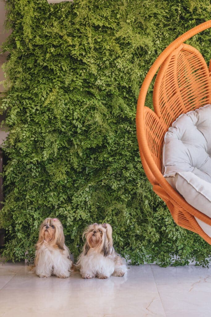 Catálogo Jardins Locações para eventos